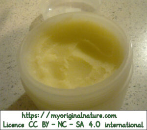 Crédits Mélanie My Original Nature – Licence CC BY-NC-SA 4.0 - Crème pour les mains refroidie et prête 3
