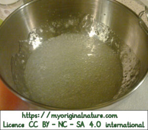Crédits Mélanie My Original Nature – Licence CC BY-NC-SA 4.0 - Gel lymphatique 1