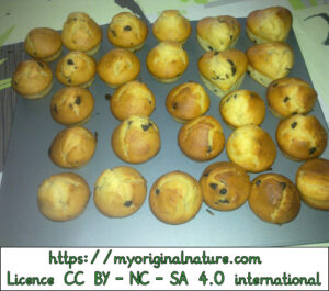 Crédits Mélanie My Original Nature – Licence CC BY-NC-SA 4.0 - Muffins ronds