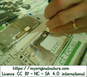 Crédits Mélanie My Original Nature – Licence CC BY-NC-SA 4.0 - Réparation Fairphone vissage du nouveau module neuf 3