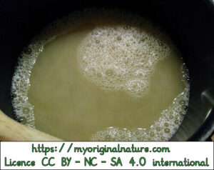 Crédits Mélanie My Original Nature – Licence CC BY-NC-SA 4.0 - Savon liquide coco 1