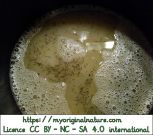 Crédits Mélanie My Original Nature – Licence CC BY-NC-SA 4.0 - Savon liquide coco 2