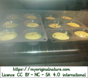 Crédits Mélanie My Original Nature – Licence CC BY-NC-SA 4.0 - Muffins dans le four 1
