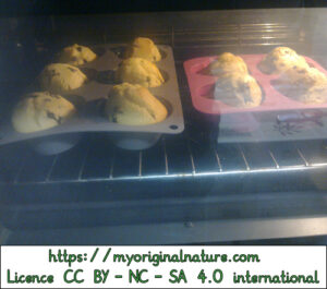 Crédits Mélanie My Original Nature – Licence CC BY-NC-SA 4.0 - Muffins dans le four 5
