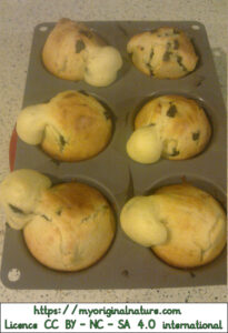 Crédits Mélanie My Original Nature – Licence CC BY-NC-SA 4.0 - Muffins avec des nez !