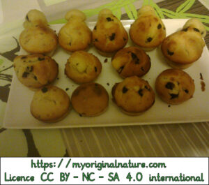 Crédits Mélanie My Original Nature – Licence CC BY-NC-SA 4.0 - Muffins ronds 2 