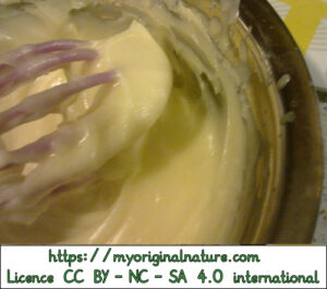 Crédits Mélanie My Original Nature – Licence CC BY-NC-SA 4.0 - Crème pour les mains avant refroidissement 2