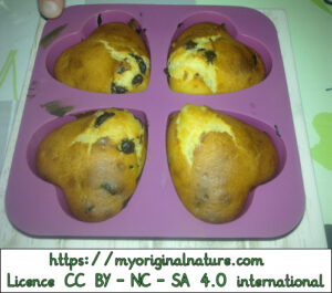 Crédits Mélanie My Original Nature – Licence CC BY-NC-SA 4.0 - Muffins en coeur