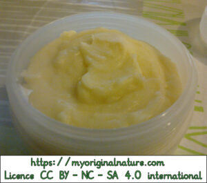 Crédits Mélanie My Original Nature – Licence CC BY-NC-SA 4.0 - Crème pour les mains avant refroidissement 3