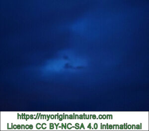 Crédits Mélanie My Original Nature – Licence CC BY-NC-SA 4.0 - Bébé dans les nuages 1