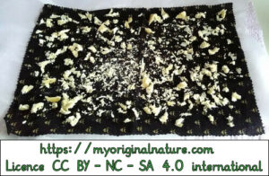 Crédits Mélanie My Original Nature – Licence CC BY-NC-SA 4.0 - Fabrication bee wrap 2