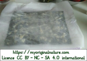 Crédits Mélanie My Original Nature – Licence CC BY-NC-SA 4.0 - Fabrication bee wrap 3
