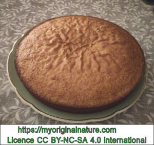 Hommage à mon amie Virginie - Gâteaux moelleux pour Virginie - Crédits Mélanie My Original Nature – Licence CC BY-NC-SA 4.0 