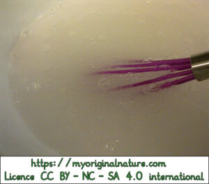 Crédits Mélanie My Original Nature – Licence CC BY-NC-SA 4.0 - Recette désinfectant multi surfaces en gel - ajout des poudres