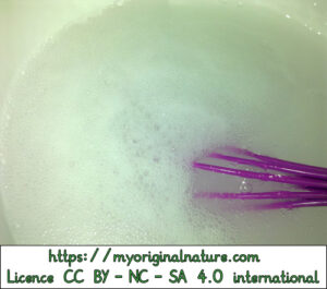 Crédits Mélanie My Original Nature – Licence CC BY-NC-SA 4.0 - Recette désinfectant multi surfaces en gel - ajout du vinaigre