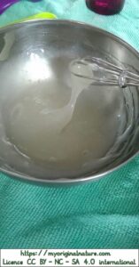 Crédits Mélanie My Original Nature – Licence CC BY-NC-SA 4.0 - Gel hydro-alcoolique