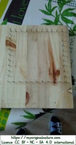 Crédits Mélanie My Original Nature – Licence CC BY-NC-SA 4.0 - Cadre en bois pour la fabrication des éponges