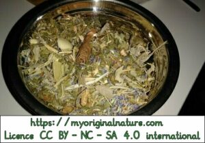 Crédits Mélanie My Original Nature – Licence CC BY-NC-SA 4.0  - Mélange de feuilles et plantes pour vinaigre des 4 voleurs