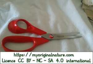 Crédits Mélanie My Original Nature – Licence CC BY-NC-SA 4.0 - Ciseaux pour couper le tissu