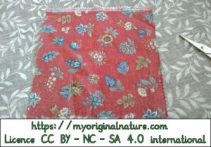 Crédits Mélanie My Original Nature – Licence CC BY-NC-SA 4.0 - Tresse senteur odeur découpe du tissu 2