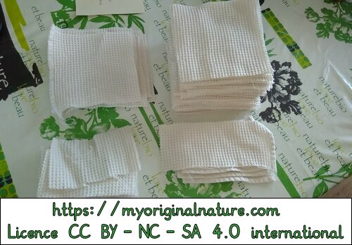 Crédits Mélanie My Original Nature – Licence CC BY-NC-SA 4.0 - Tutoriel réssuies-tout 12