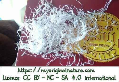 Crédits Mélanie My Original Nature – Licence CC BY-NC-SA 4.0 - Tutoriel réssuies-tout 26