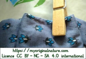 Crédits Mélanie My Original Nature – Licence CC BY-NC-SA 4.0 - Tutoriel masque 27