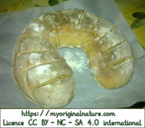 Crédits Mélanie My Original Nature – Licence CC BY-NC-SA 4.0 - Pain au levain fini 2