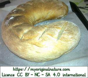 Crédits Mélanie My Original Nature – Licence CC BY-NC-SA 4.0 - Pain au levain fini 3