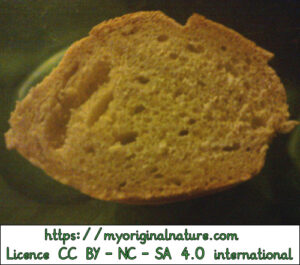 Crédits Mélanie My Original Nature – Licence CC BY-NC-SA 4.0 - Pain au levain fini 4 détail intérieur mie