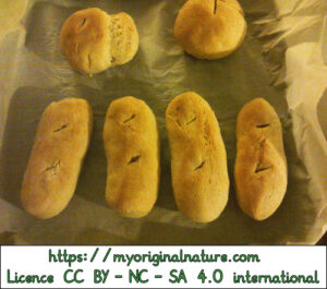 Crédits Mélanie My Original Nature – Licence CC BY-NC-SA 4.0 - Petits pains au levain finis