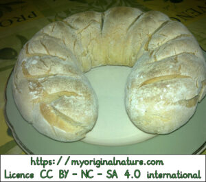 Crédits Mélanie My Original Nature – Licence CC BY-NC-SA 4.0 - Pain au levain fini 1