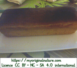 Crédits Mélanie My Original Nature – Licence CC BY-NC-SA 4.0 - Pain sans gluten 6