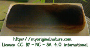 Crédits Mélanie My Original Nature – Licence CC BY-NC-SA 4.0 - Pain sans gluten 7