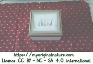 Crédits Mélanie My Original Nature – Licence CC BY-NC-SA 4.0 - Cadeau Noël carré rectangle 1