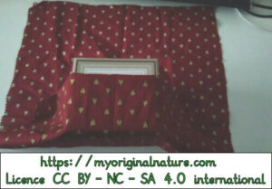 Crédits Mélanie My Original Nature – Licence CC BY-NC-SA 4.0 - Cadeau Noël carré rectangle 2