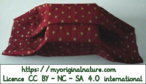 Crédits Mélanie My Original Nature – Licence CC BY-NC-SA 4.0 - Cadeau Noël carré rectangle 3
