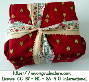 Crédits Mélanie My Original Nature – Licence CC BY-NC-SA 4.0 - Cadeau Noël carré rectangle 7