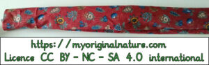 Crédits Mélanie My Original Nature – Licence CC BY-NC-SA 4.0 - Cadeau Noël bouteille 4