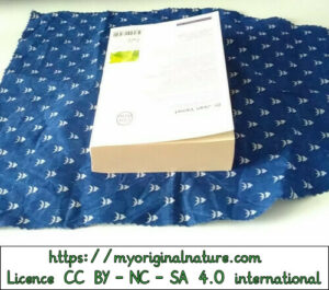 Crédits Mélanie My Original Nature – Licence CC BY-NC-SA 4.0 - Cadeau Noël livre 2