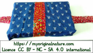Crédits Mélanie My Original Nature – Licence CC BY-NC-SA 4.0 - Cadeau Noël livre 11