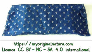 Crédits Mélanie My Original Nature – Licence CC BY-NC-SA 4.0 - Cadeau Noël livre 4