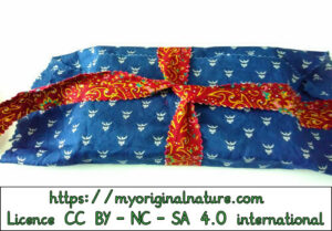 Crédits Mélanie My Original Nature – Licence CC BY-NC-SA 4.0 - Cadeau Noël livre 8