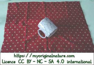 Crédits Mélanie My Original Nature – Licence CC BY-NC-SA 4.0 - Cadeau Noël tasse 1